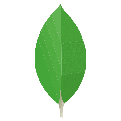MongoDB